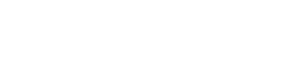 IDESICA Logo